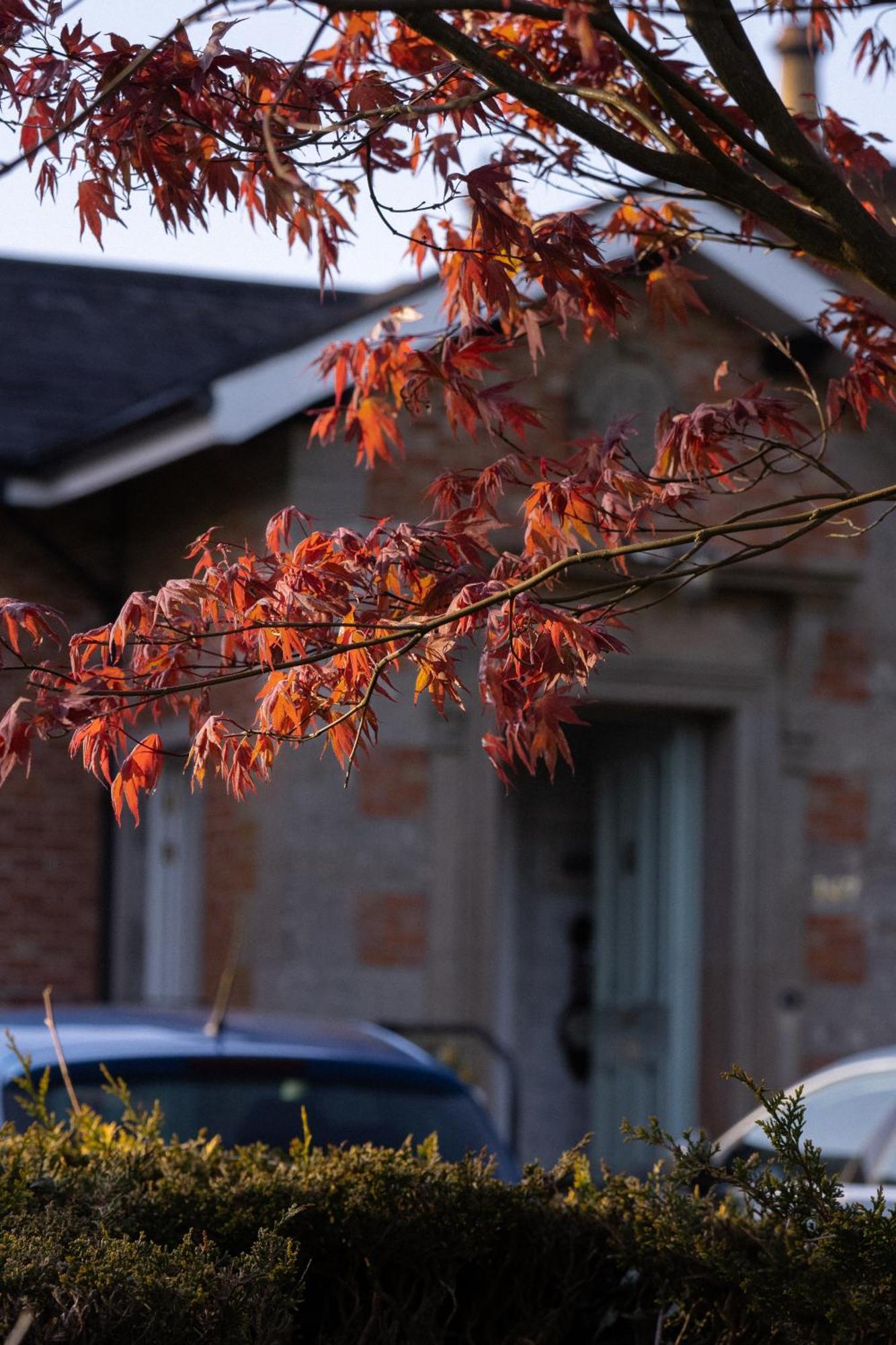 Oranmore Ballymena Kültér fotó